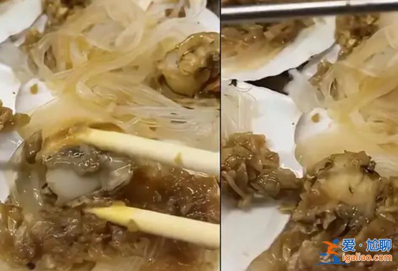 男子淄博吃燒烤吐槽扇貝肉指甲大 感覺被坑了？