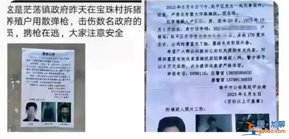 養(yǎng)豬戶(hù)豬舍被拆 疑用改裝槍射傷3名執(zhí)法人員后逃走 遭通緝投案自首？