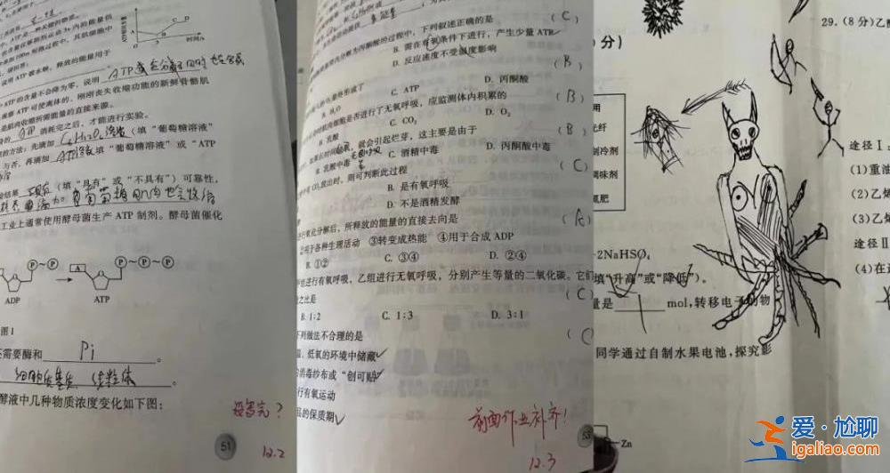 16歲男生校內(nèi)傷人背后？