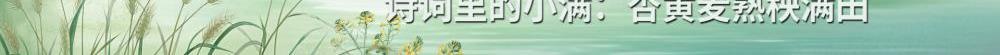 24節(jié)氣為何獨缺“大滿”？？