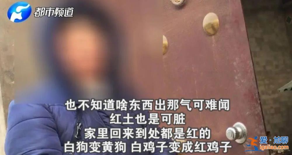 率隊(duì)赴地方的68歲正部級(jí)“女將” 在《新聞聯(lián)播》出鏡？