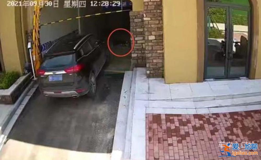 湯陰“清潔工躺車庫被碾身亡”案司機(jī)申請國家賠償60余萬 此前被判無罪？