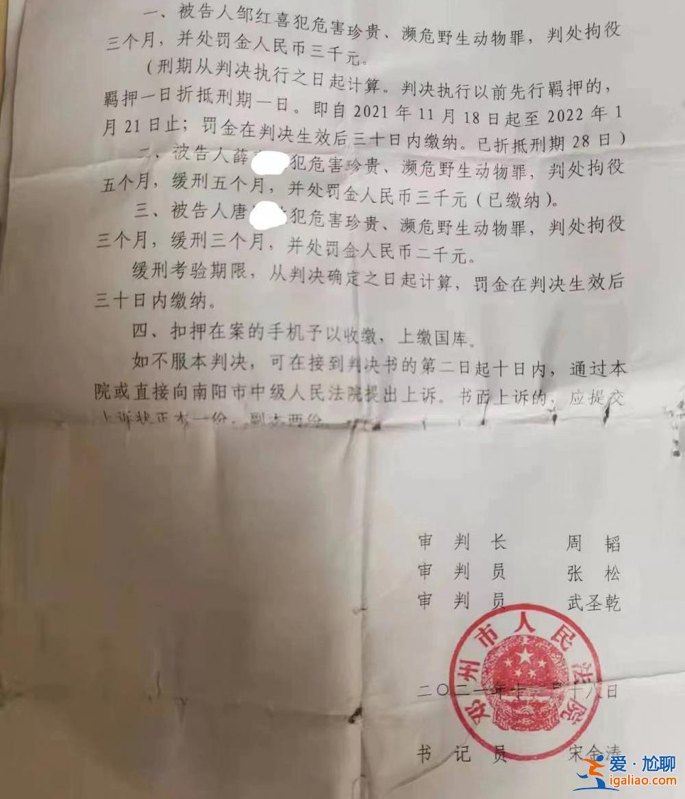 交易一只和尚鸚鵡三人獲刑 一人上訴被駁提申訴？
