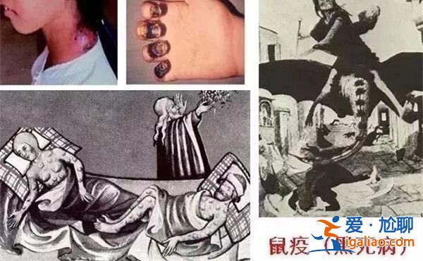 鼠疫讓老鼠陷入人人喊打局面，為什么鼠疫還是難以根除[難以根除]？