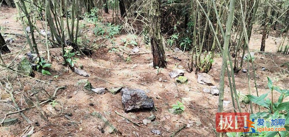 9歲男孩失蹤13年后尸骨現(xiàn)身山林地縫 兩名村婦被警方帶走？