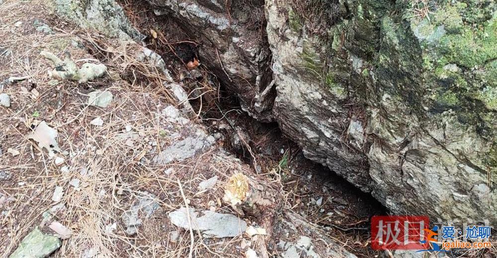 9歲男孩失蹤13年后尸骨現(xiàn)身山林地縫 兩名村婦被警方帶走？