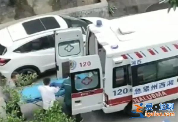 從26樓撐傘跳下男童目前生命體征比較平穩(wěn)？