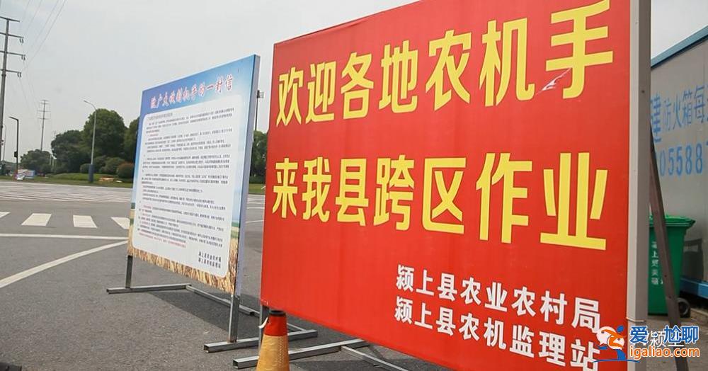 夏收在即 上百臺(tái)收割機(jī)不讓下高速？河南安陽回應(yīng) 安徽一地做法獲贊？