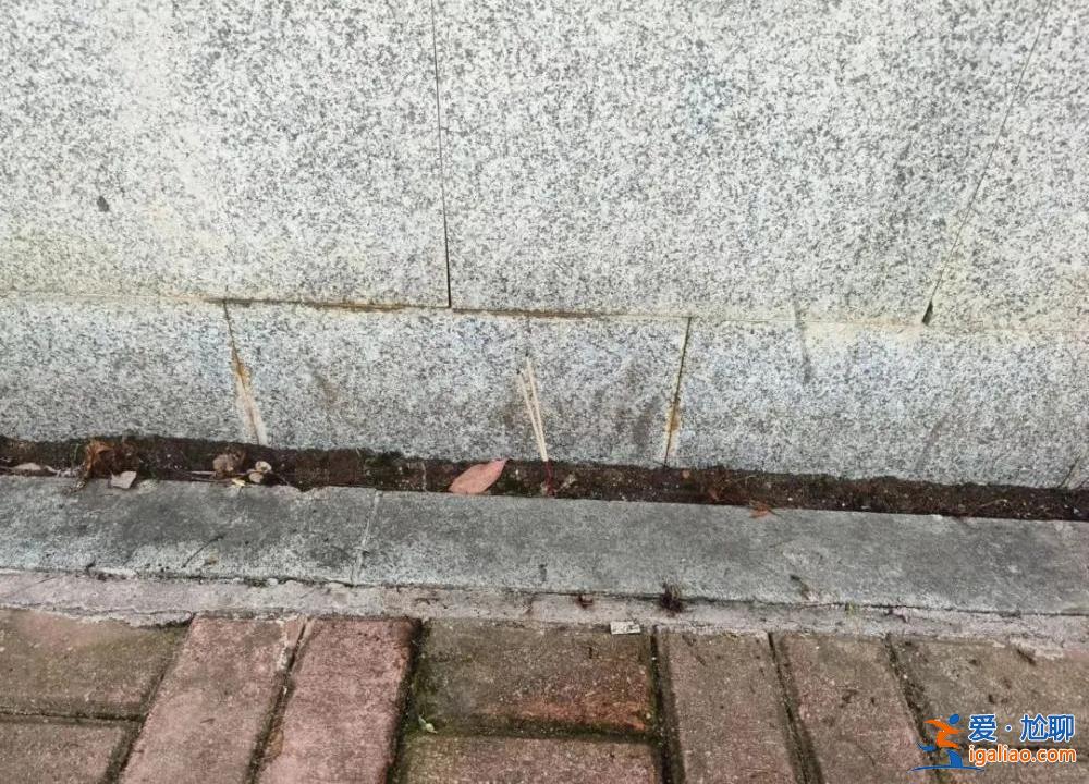 長沙一幼兒園門口車禍致被撞母女身亡 事故雙方均系送幼兒上學(xué)家長？
