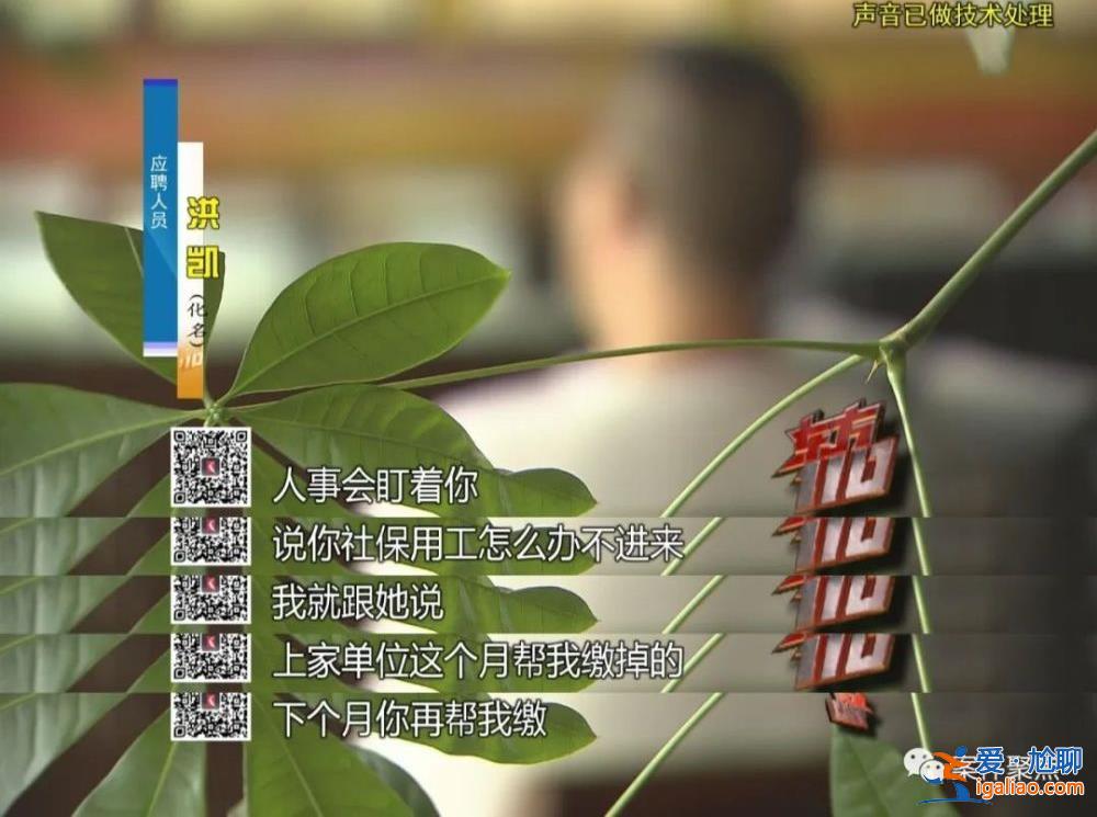 職業(yè)騙薪！上海一對(duì)夫妻兩年入職300家公司騙工資 月收入超60萬(wàn)？