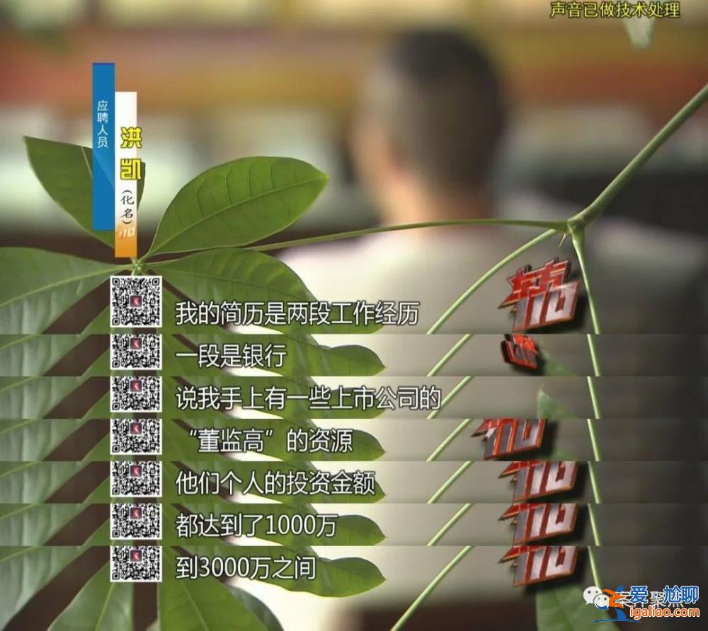 職業(yè)騙薪！上海一對(duì)夫妻兩年入職300家公司騙工資 月收入超60萬(wàn)？