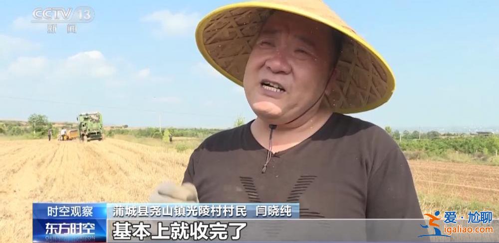 小麥漸熟 “爛場(chǎng)雨”下的三夏怎么“搶”？？