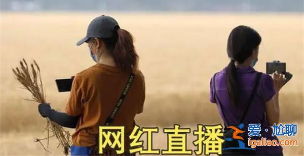 網(wǎng)紅扎堆到麥地直播割麥，是虛偽還是真心幫助[扎堆]？