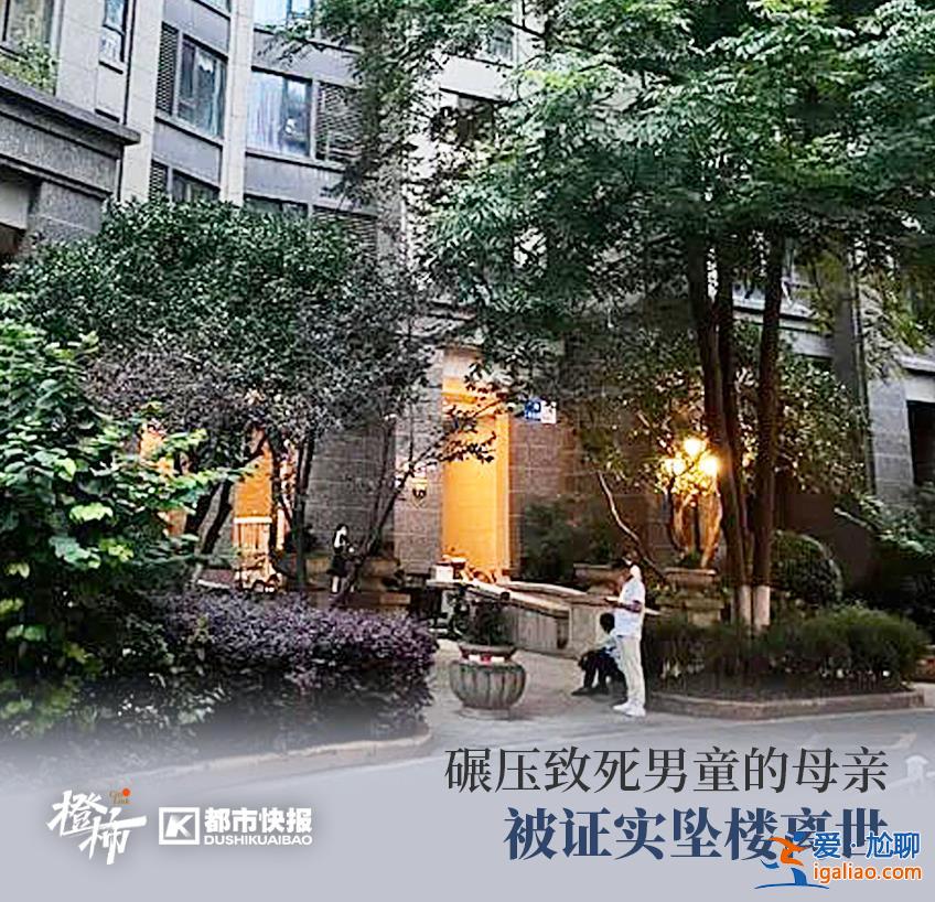 被撞身亡學(xué)生母親墜樓 百萬粉絲大V被封 律師建議刑法增加網(wǎng)暴罪名？