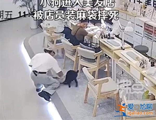 小狗進(jìn)入美發(fā)店當(dāng)中被店員裝進(jìn)麻袋摔死[美發(fā)店]？