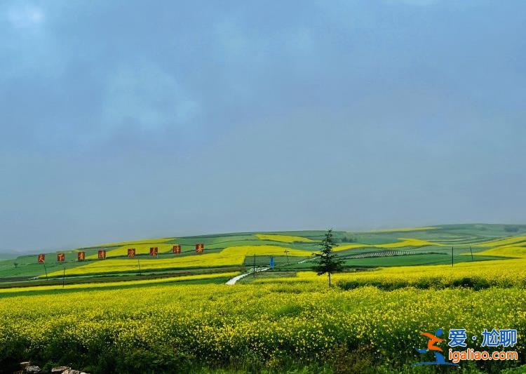 以生態(tài)“底色”描繪發(fā)展“綠色” 全國百家市縣融媒看定西首站走進(jìn)漳縣？
