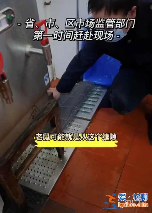 一高校食堂疑吃出老鼠頭學(xué)?；貞?yīng)是鴨脖 校方曾因老鼠問題被聯(lián)合執(zhí)法？