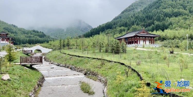 “融媒聯(lián)動(dòng)·全域旅游”全國(guó)百家市縣融媒看定西走進(jìn)渭源？