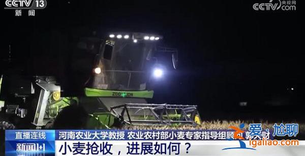 小麥搶收進(jìn)展如何？面對“爛場雨”還要在哪些方面補(bǔ)短板？？