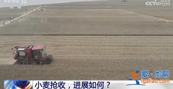 小麥搶收進(jìn)展如何？面對“爛場雨”還要在哪些方面補(bǔ)短板？？