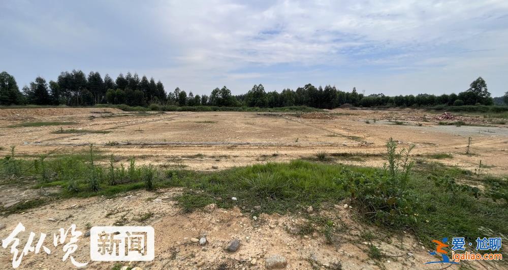 四川一招商引資項目停工荒廢 村民稱當(dāng)初不同意土地流轉(zhuǎn)反遭副鎮(zhèn)長呵斥“有多遠(yuǎn)滾多遠(yuǎn)”？