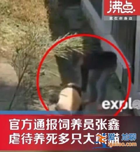 飼養(yǎng)員張?chǎng)闻按笮茇?？官方回?yīng)？