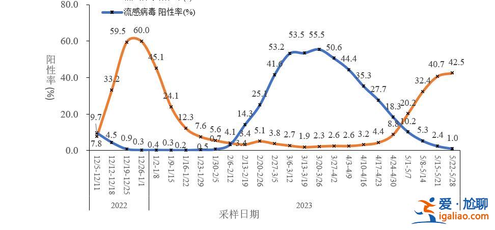 XBB及其亞分支占比增長到92.4% 疫情呈下降趨勢？