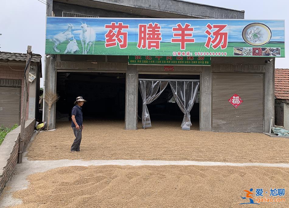 麥田過水后 種糧戶們在搶救生計(jì)？