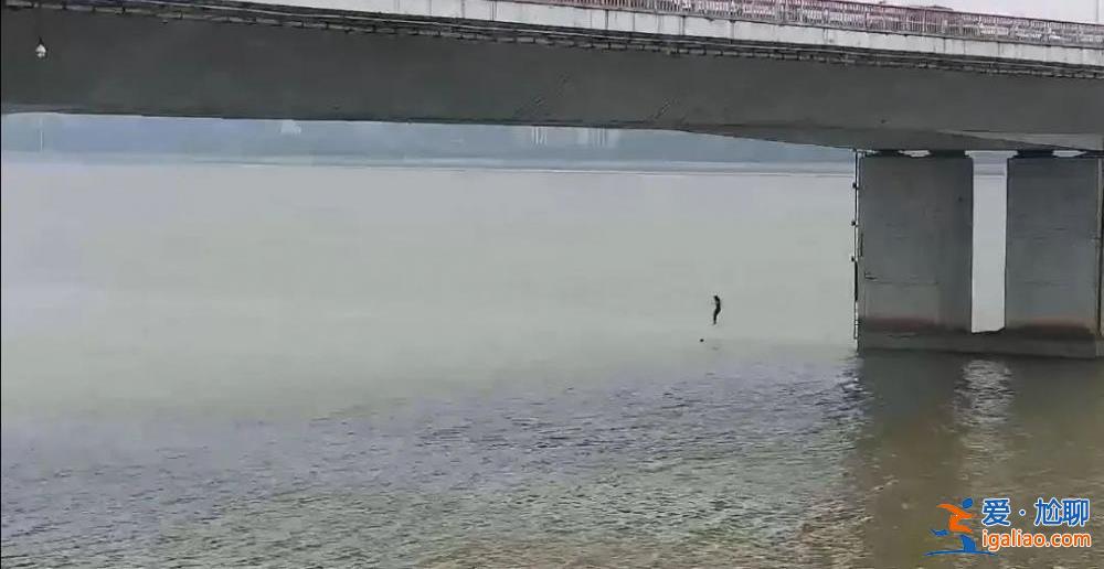 杭州外賣小哥跳下高橋救人 醫(yī)院檢查出現(xiàn)胸椎壓縮性骨折？