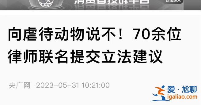 深圳地鐵反虐動物廣告遭投訴 “陰暗角落”再引爭議？