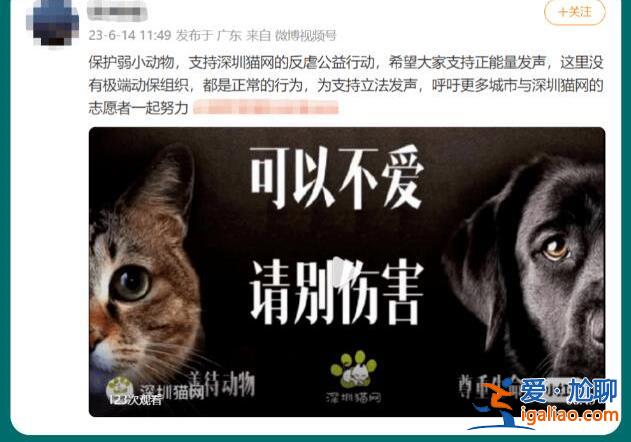 深圳地鐵反虐動物廣告遭投訴 “陰暗角落”再引爭議？