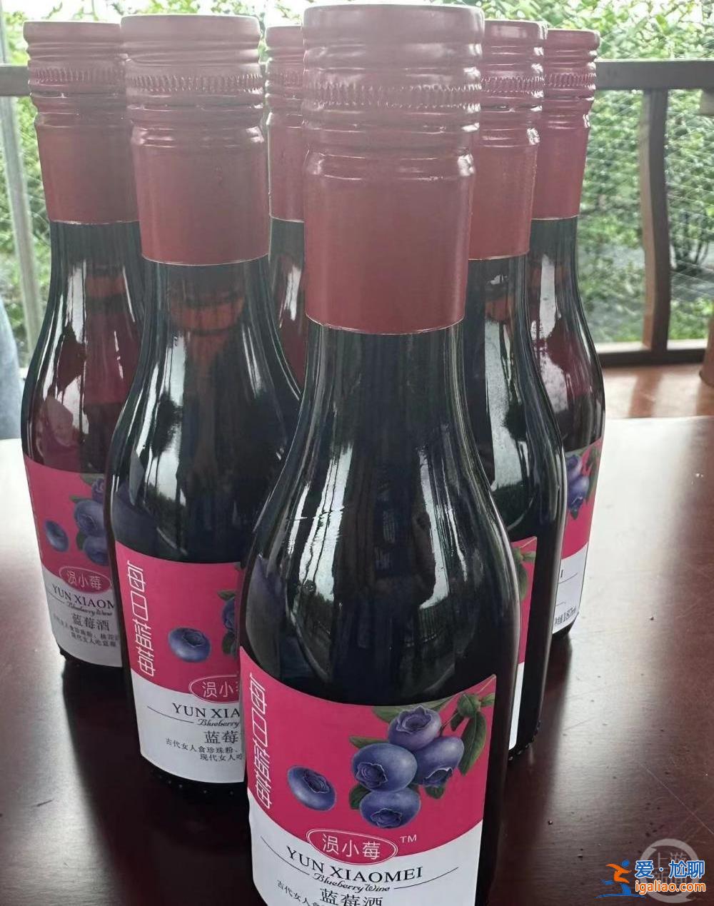 一顆小藍莓帶來十億農旅融合產值？