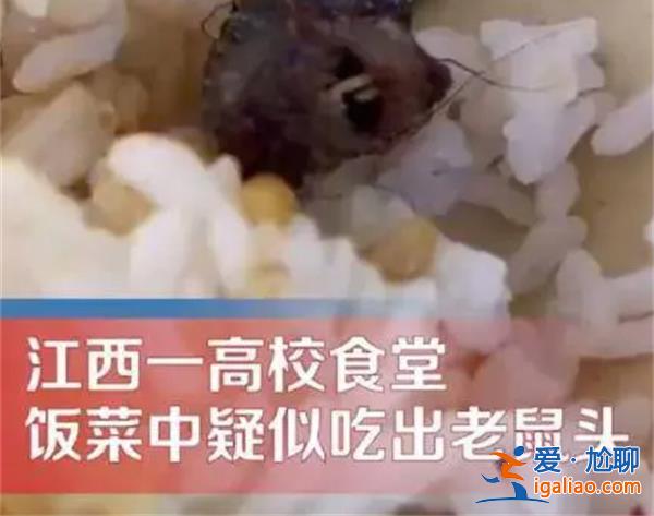 “指鼠為鴨”相關(guān)食堂、學(xué)校、市監(jiān)部門責(zé)任如何劃分？