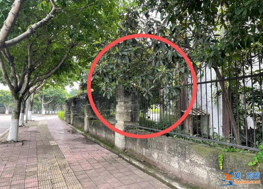 這事原本就不該發(fā)生？