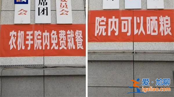 麥?zhǔn)站懦?，這些地方變成曬糧場[曬糧場]？