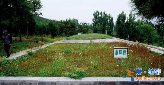 免費提供墓地和骨灰盒 這個縣6年的殯葬改革怎么樣了？