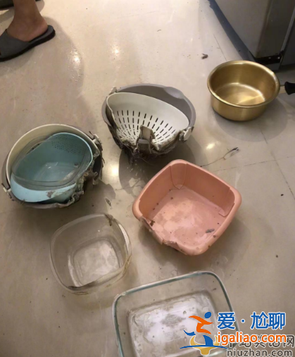 歌手黃安現(xiàn)狀曝光!家里發(fā)生瓦斯爆炸，親人意外被灼傷
