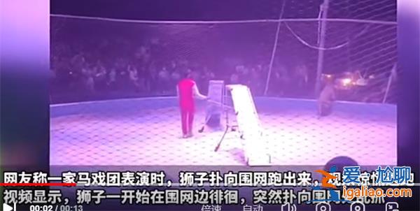 馬戲團獅子表演時欲上演出逃記，觀眾被嚇跑[獅子表演]？