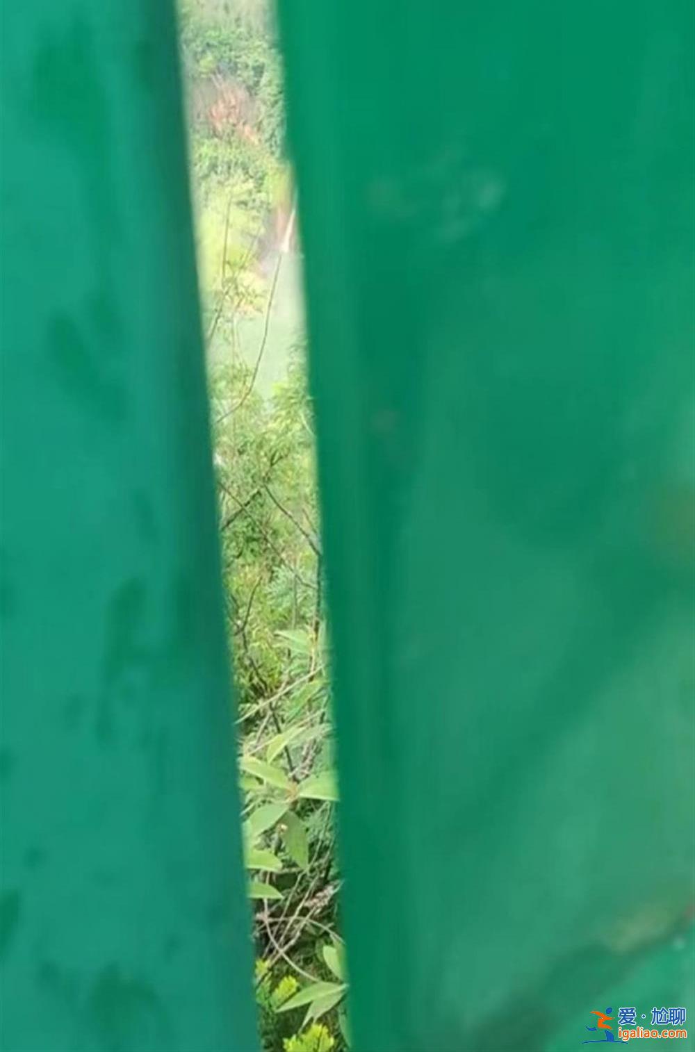 云南曲靖九龍瀑布群建圍墻防偷窺？景區(qū)回應(yīng)“是為了安全”？