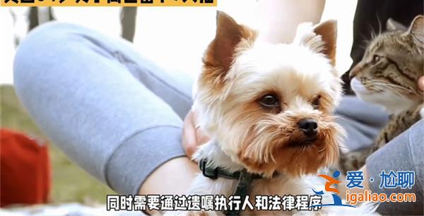 女子去世7只貓繼承217萬遺產(chǎn)，貓真的繼承遺產(chǎn)嗎[ 7只貓]？