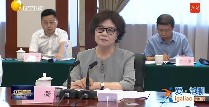 副國級率隊赴地方執(zhí)法檢查 4位組長亮相？