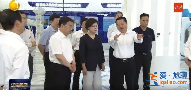 副國級率隊赴地方執(zhí)法檢查 4位組長亮相？