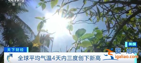 全球多地遭遇極端高溫天氣 多國(guó)發(fā)布警報(bào)？