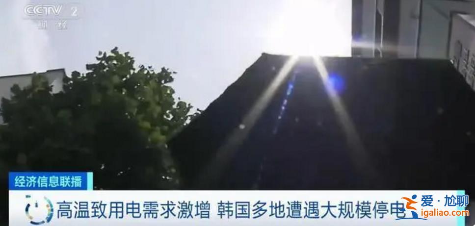 全球多地遭遇極端高溫天氣 多國(guó)發(fā)布警報(bào)？