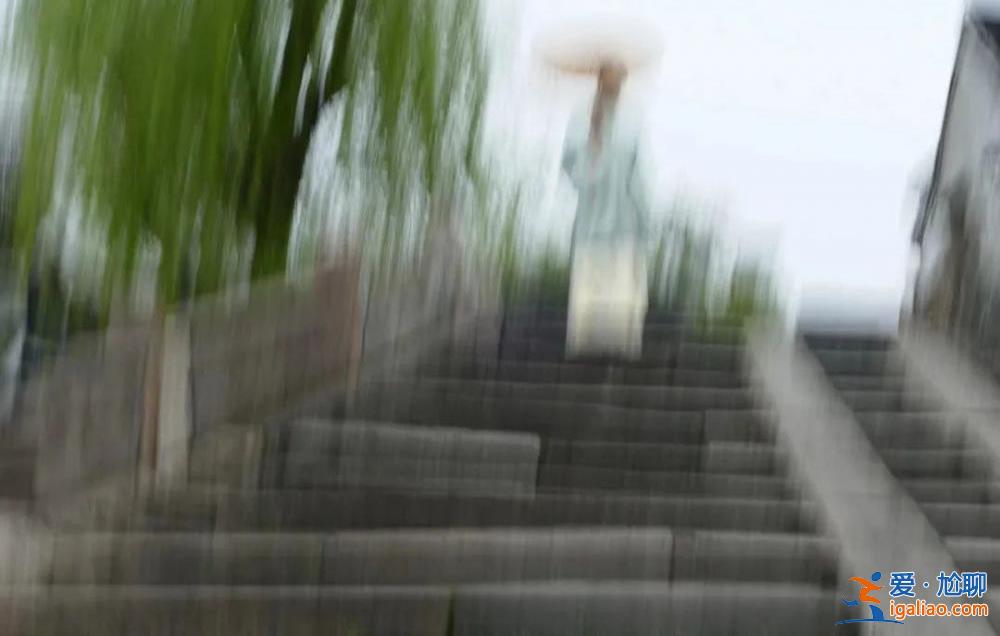 公示期沒收到投訴？