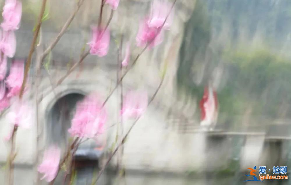 公示期沒收到投訴？