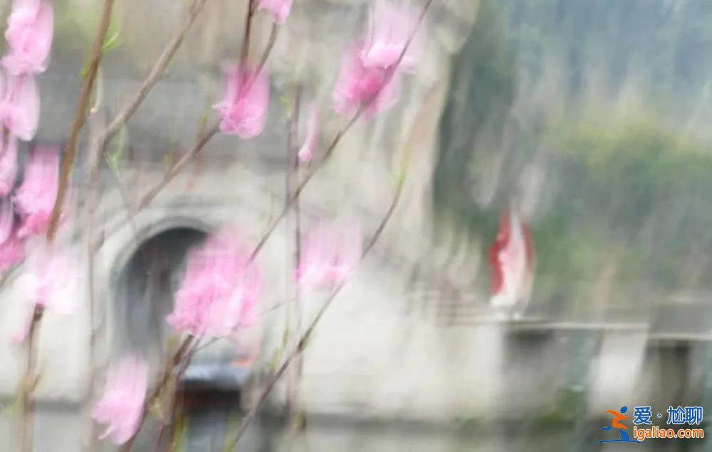 “糊不糊”的攝影大展 大家“服不服”？？