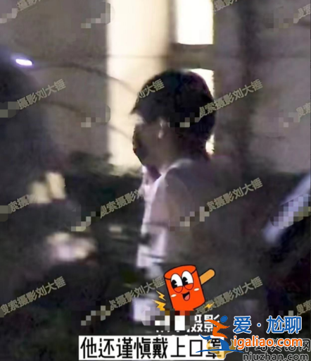曝王鷗男友何九華出軌！王鷗何九華結(jié)婚了嗎?