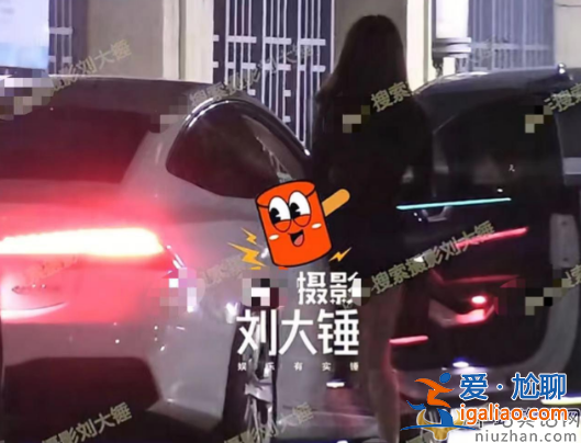曝王鷗男友何九華出軌！王鷗何九華結(jié)婚了嗎?