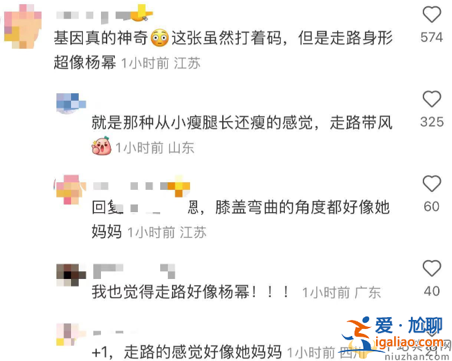 小糯米撫養(yǎng)權歸誰了?曝劉愷威帶女兒游加拿大